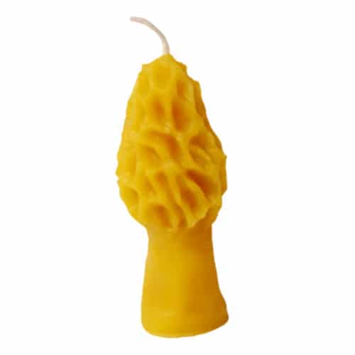 Morel Mushroom Beeswax Candle for wholesale by Ioway Bee Farm
