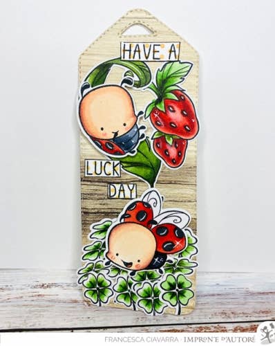 Impronte D'Autore - Wholesale Rubber/Decorative Stamp - Ladybug transparent polymer stamps3