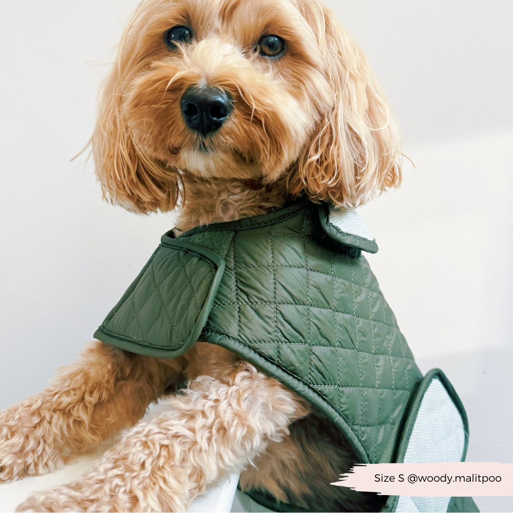 Cocopup London - Wholesale Pet Coat - Dog - LUXE Quilted Dog Coat - Country Khaki16