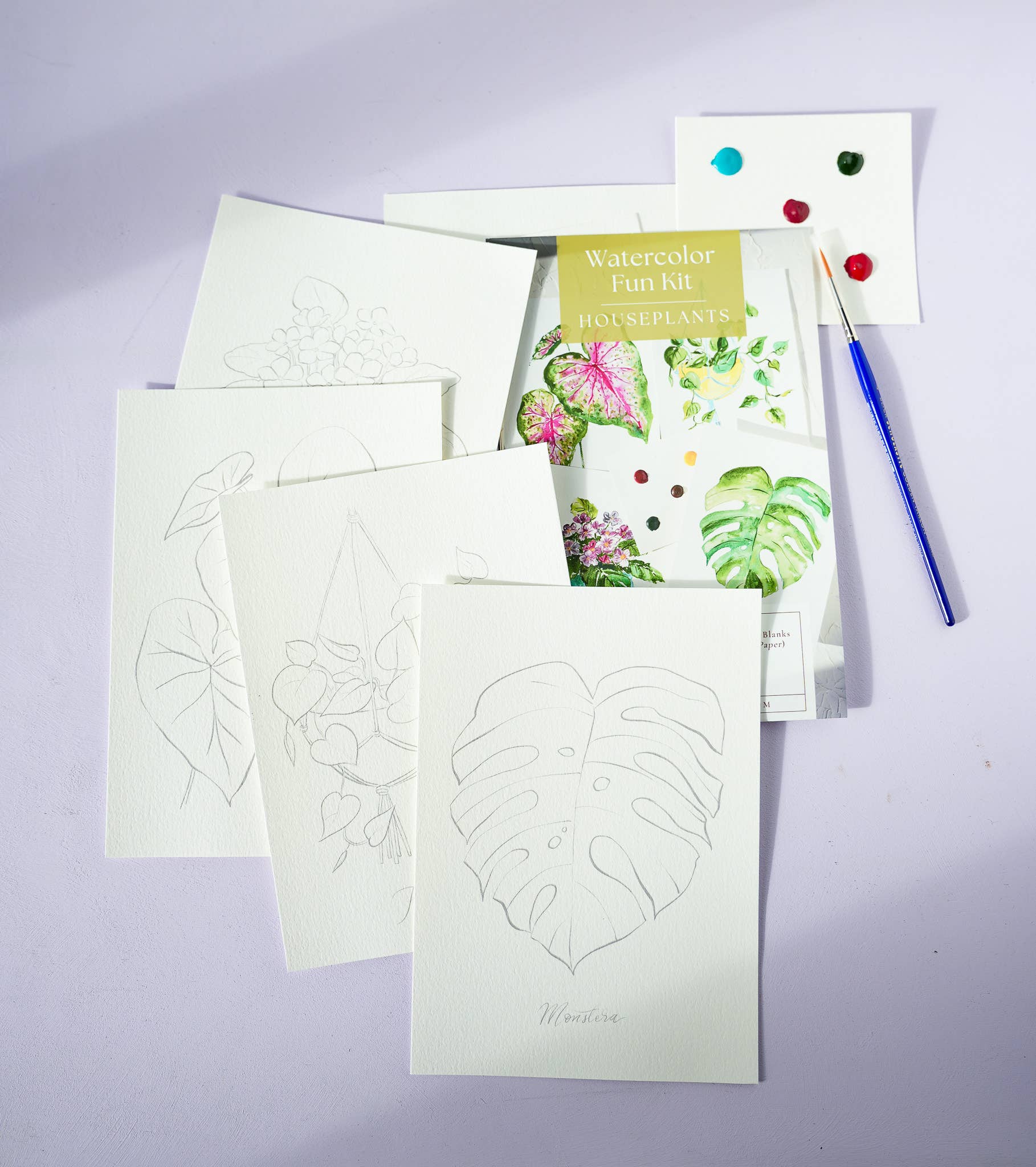 Jean Choe Art & Design - Wholesale DIY Craft Kit - Houseplants Watercolor Painting Kit with Paint & Brush12