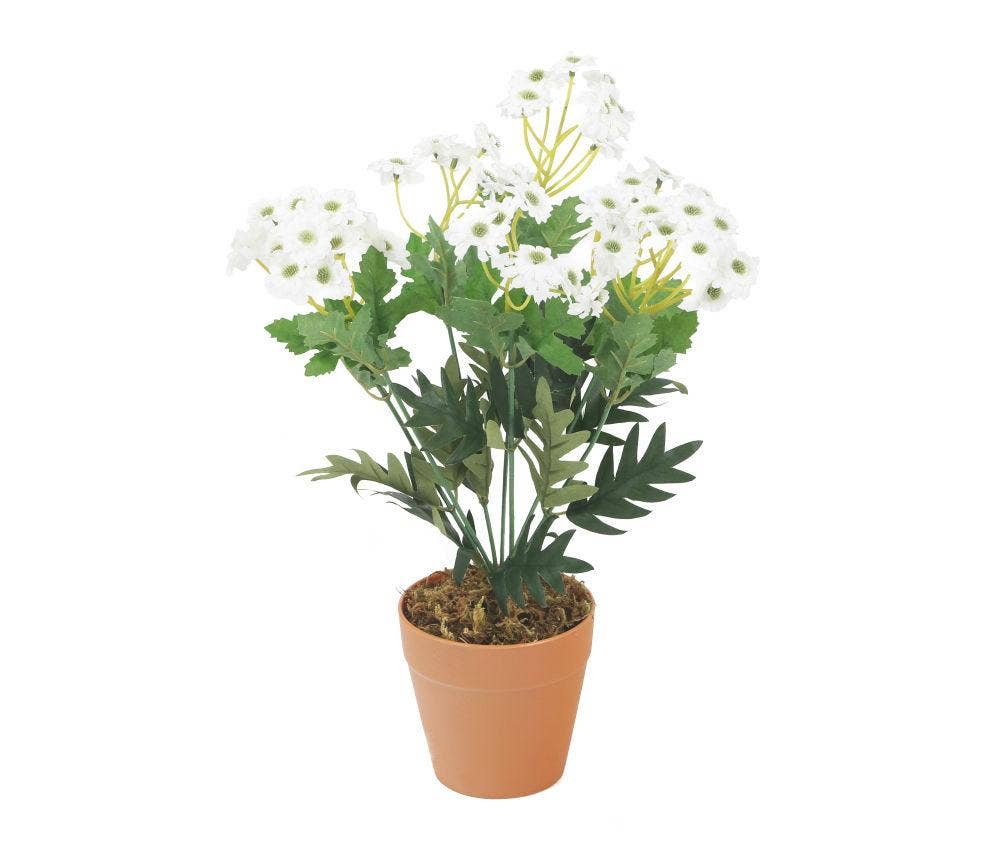 Closer2Nature – Großhandel Künstliche Blumen – Künstliche weiße Gänseblümchen-Pflanze, 32 cm6