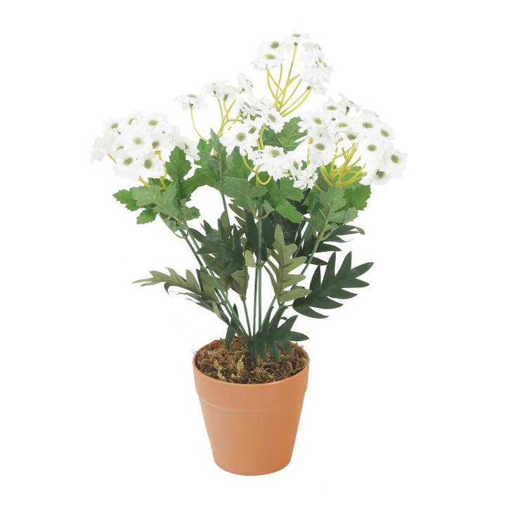 Closer2Nature – Großhandel Künstliche Blumen – Künstliche weiße Gänseblümchen-Pflanze, 32 cm6