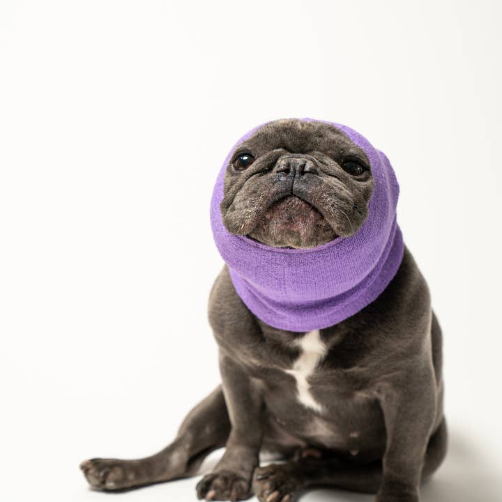 PetGiftz LLC - Wholesale Pet Hoodie - Dog - PET HOODZ, DOG HOODIES FOR ANXIETY, GROOMING, AND MORE!3