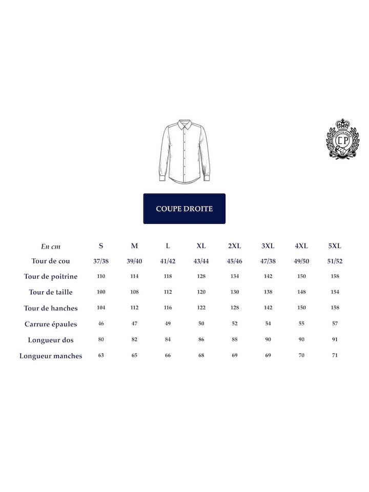 Cotton Park - Vendita all'ingrosso Camicia button down - Uomo - Camicia a righe sottili blu per uomo4