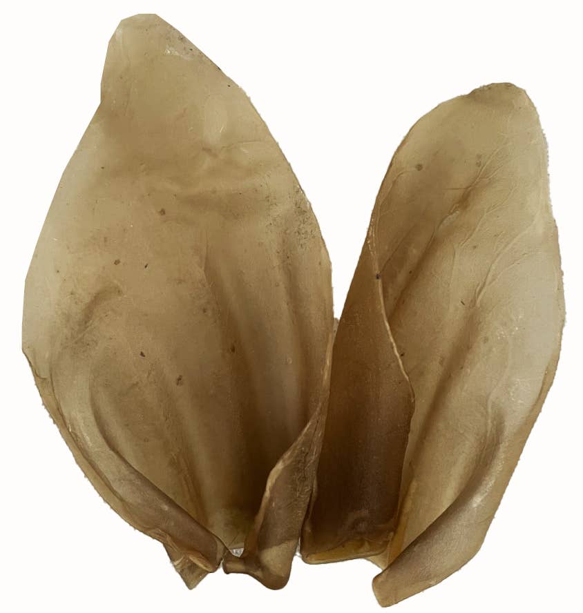 Scoochie Pet Products - Wholesale Pet Treats - Dog - 100 Pack Natural  Cow Ears0
