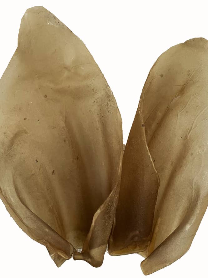 100 Pack Natural Cow Ears for wholesale by Scoochie Pet Products
