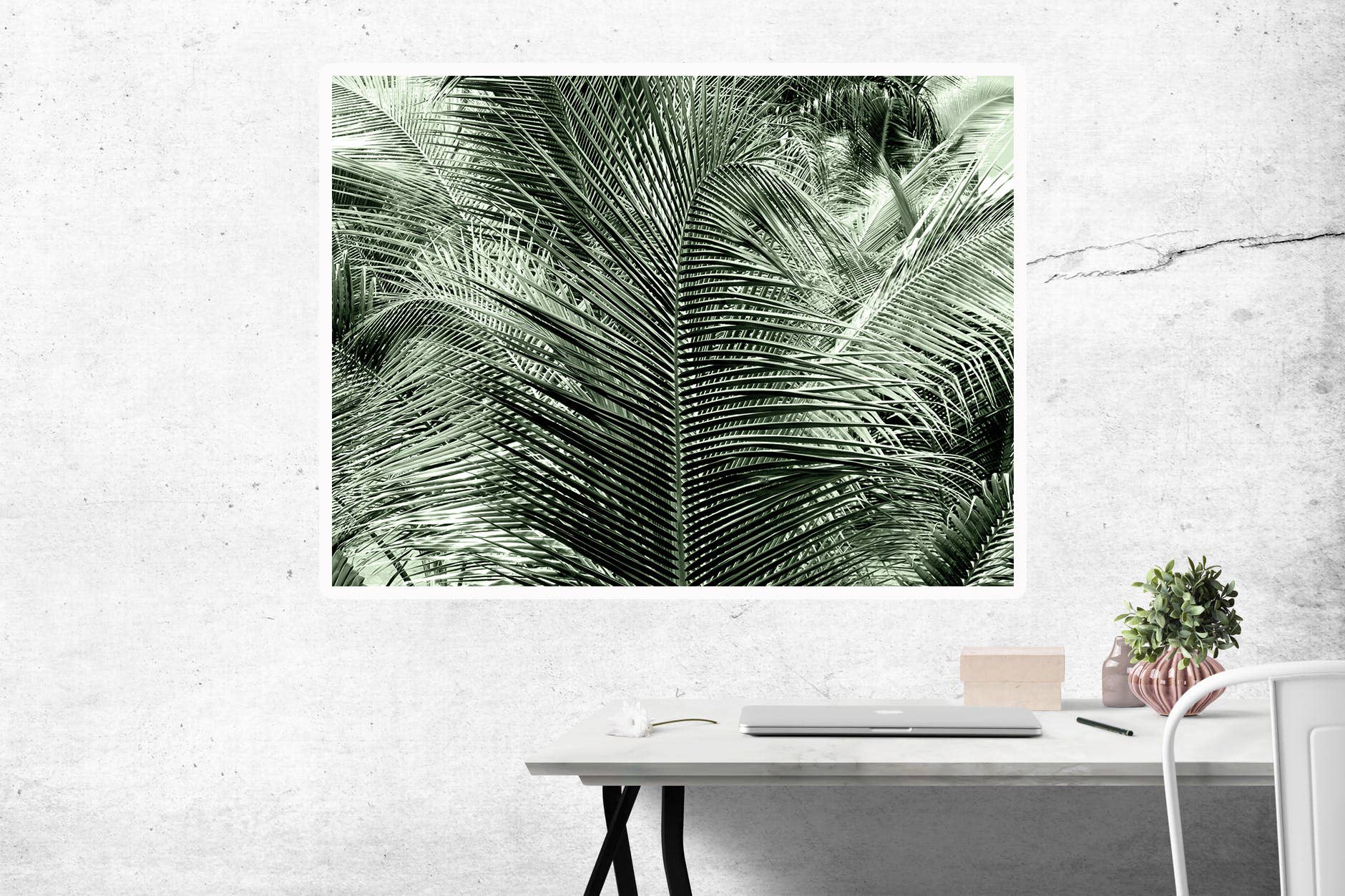 Veni Etiam Photography - Wholesale Art Print - Palm Tree Boho Wall Art1