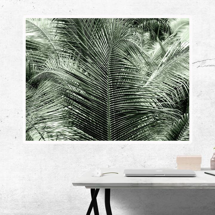 Veni Etiam Photography - Wholesale Art Print - Palm Tree Boho Wall Art1