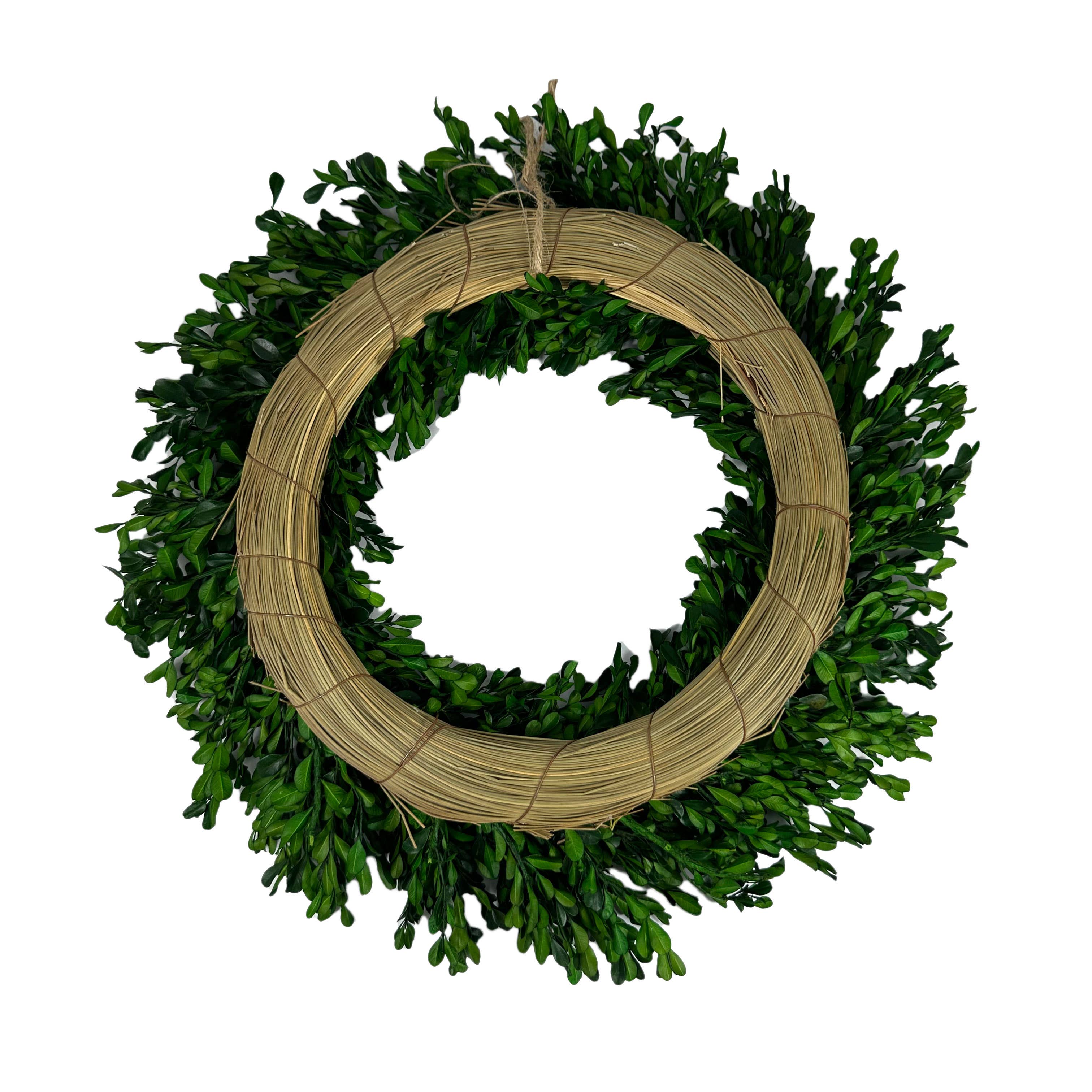 Galt International Company – wholesale Wreath – Naturally Preserved Green Boxwood Wreath 21" + Hanging Loop2