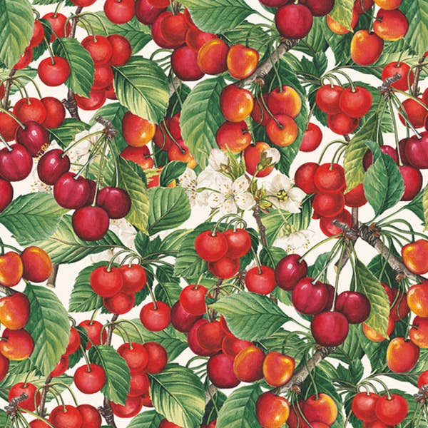 Kersen - 70 x 100 cm voor wholesale door Grafiche Tassotti