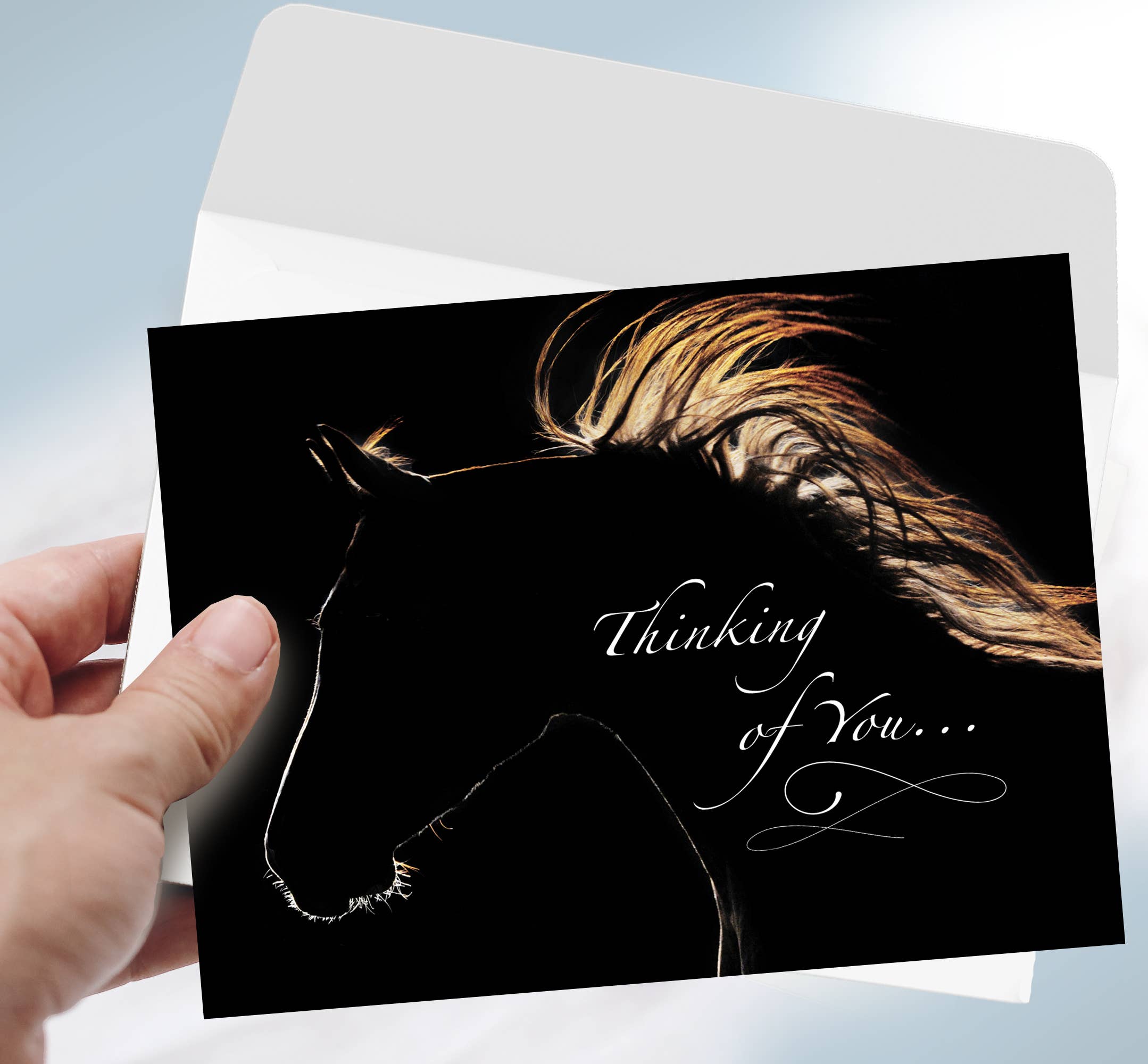Horse Hollow Press - Wholesale Sympathy Card - Horse Sympathy Greeting Card / Thinking of you 10