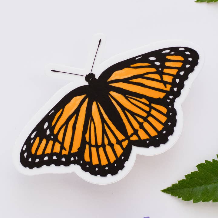 Butterfly Vinyl Sticker for wholesale by Rachel’s little design corner