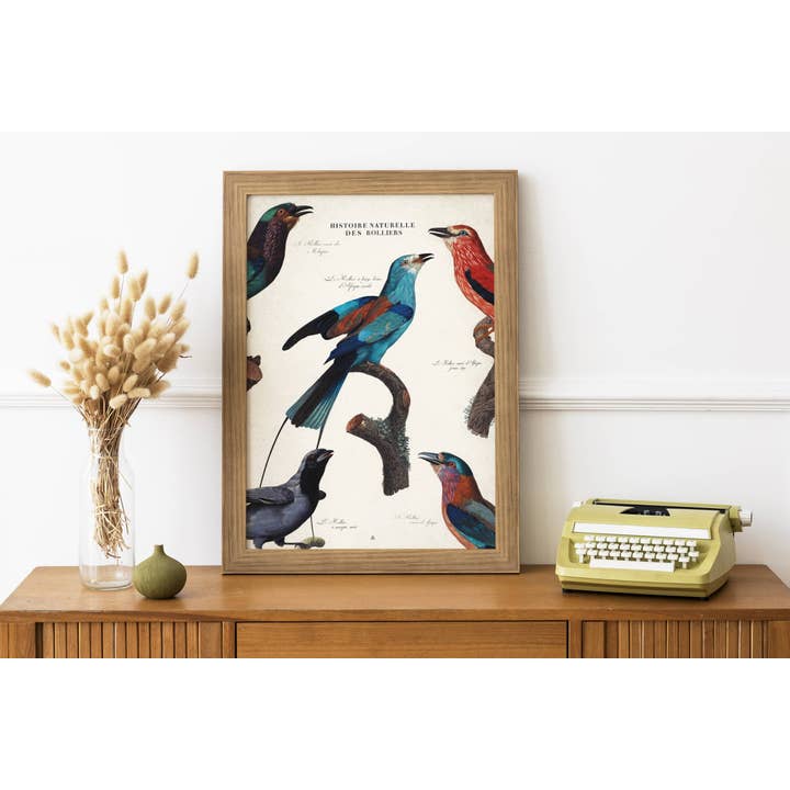 Naturgeschichte der Racken • Ornithologische Tafel für den Großhandel von Maison Chapal