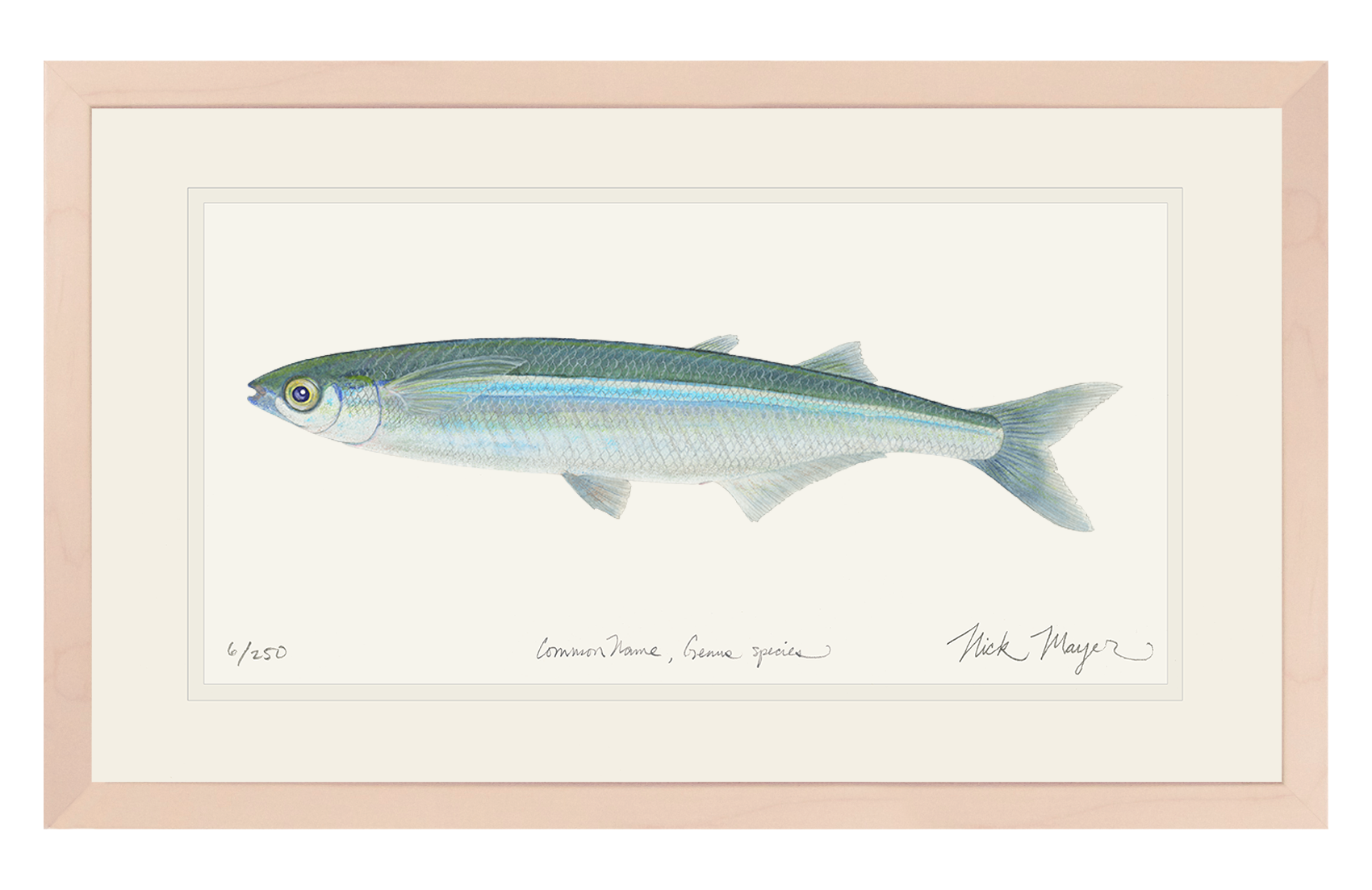 Nick Mayer Art - Wholesale Art Print - Smelt Limited Edition Print3