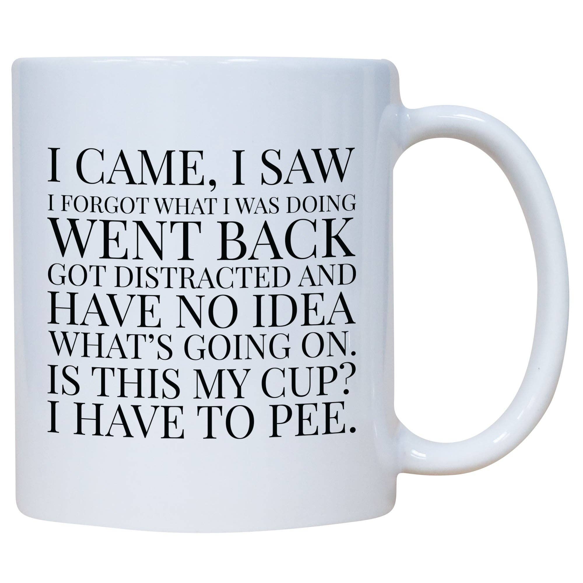 Cedar Crate Market - Wholesale Coffee Mug - Coffee Mug - I Came I Saw I Forgot What I Was Doing0