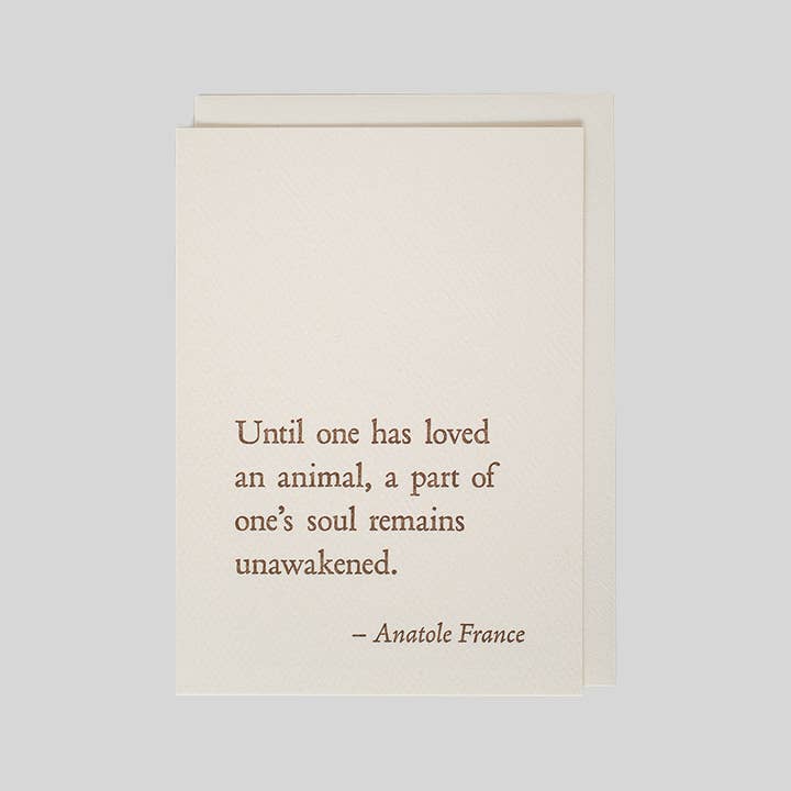 folio press & paperie - Wholesale Stationery/Notecard Set - Anatole France - Animal QuoteNote