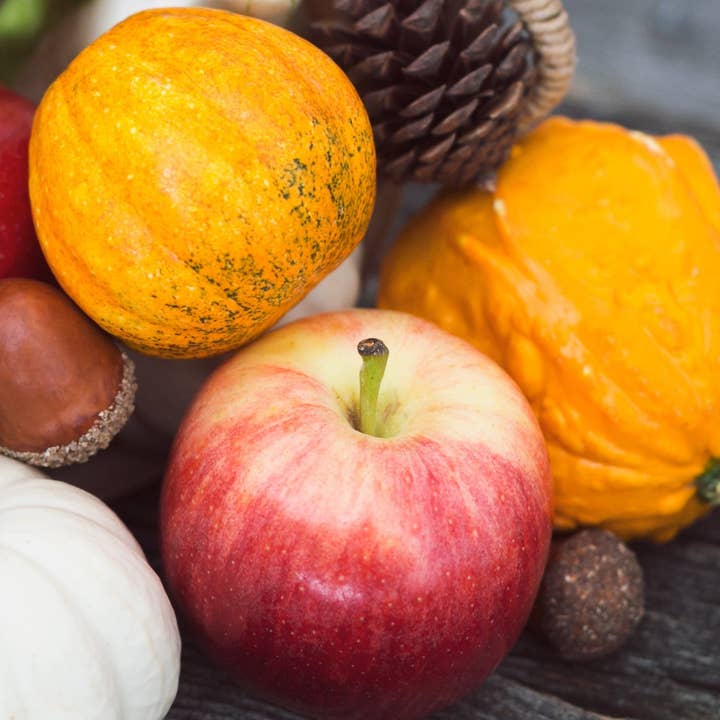 Apple Pumpkin Fragrance Oil for wholesale by Heavenly Scents