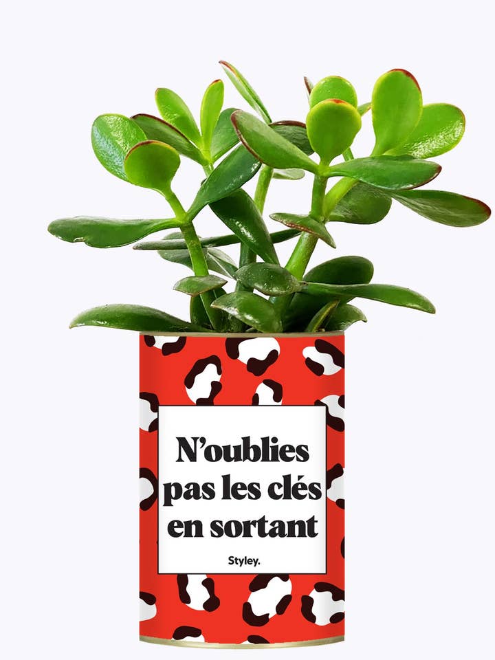 Vergeet De Sleutels Niet Bij Het Weggaan - Cactus voor wholesale door Styley