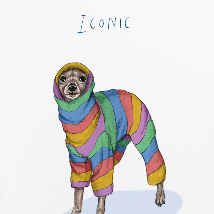 Beth Goodwin Designs - Wholesale Art Print - Iconic Iggy print | Italian Greyhound | Whippet | Dog Art