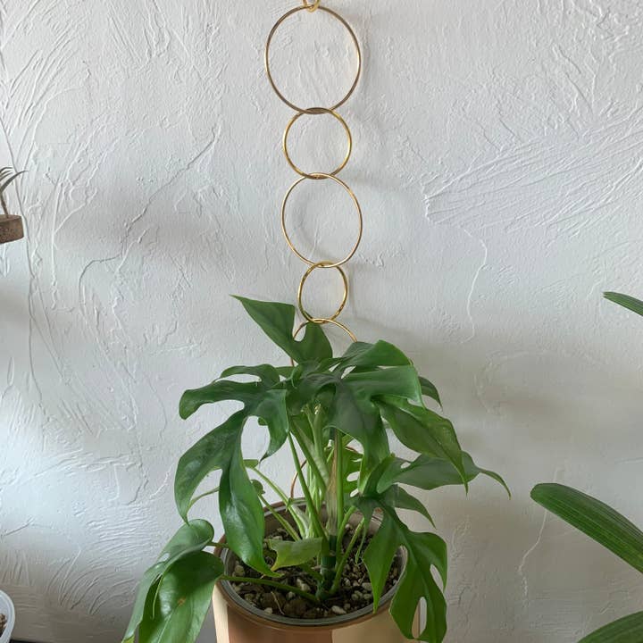 Jungle House - Wholesale Trellis - Modern Brass Chain Trellis1