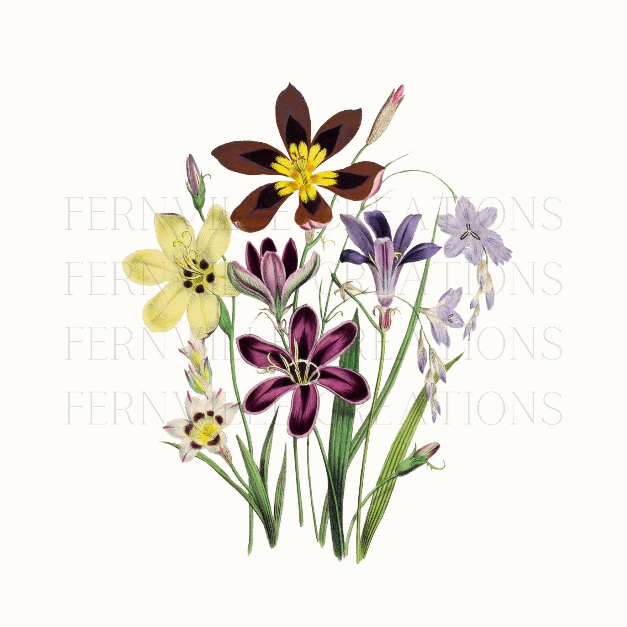 Fernville Creations - Wholesale Hand Towel - Wildflower Floral Hand Towels for Bath and Kitchen1