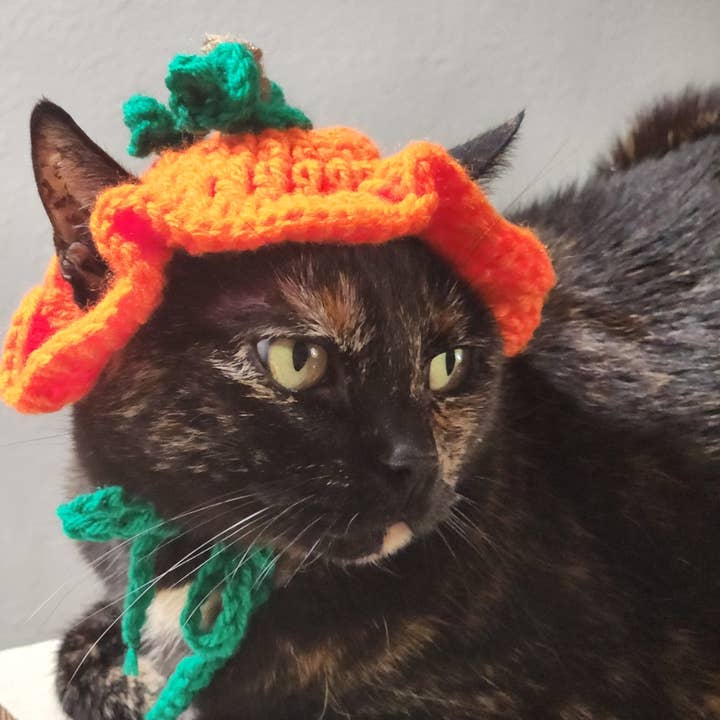 A Creative Wonderland - Wholesale Pet Costume - Cat/Dog - Pumpkin Hat for Cats or Small Dogs