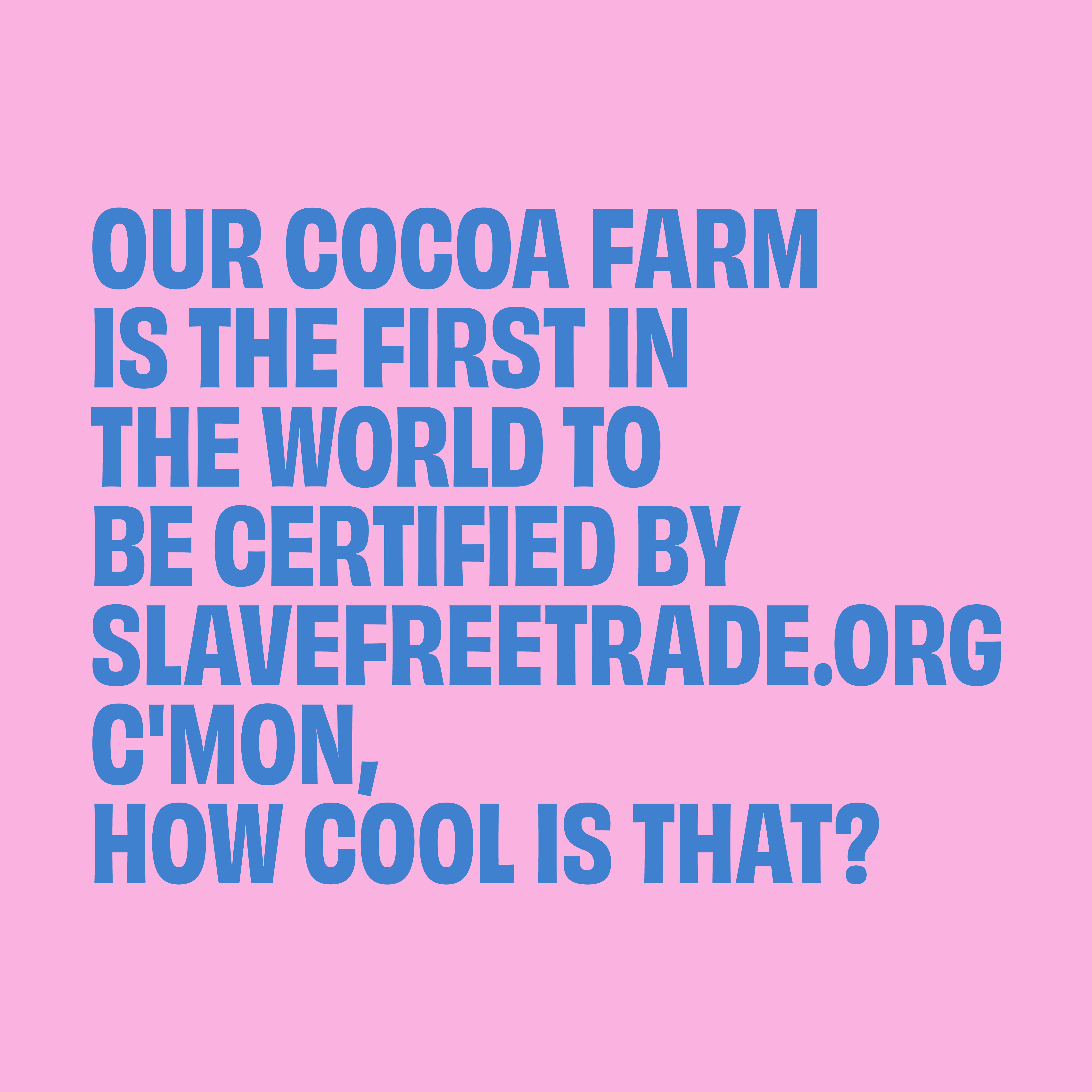 UP-UP Chocolate [No duties when shipping to US!] - Wholesale Chocolate Bar - Original Dark Chocolate Bar 120G/4.2OZ6