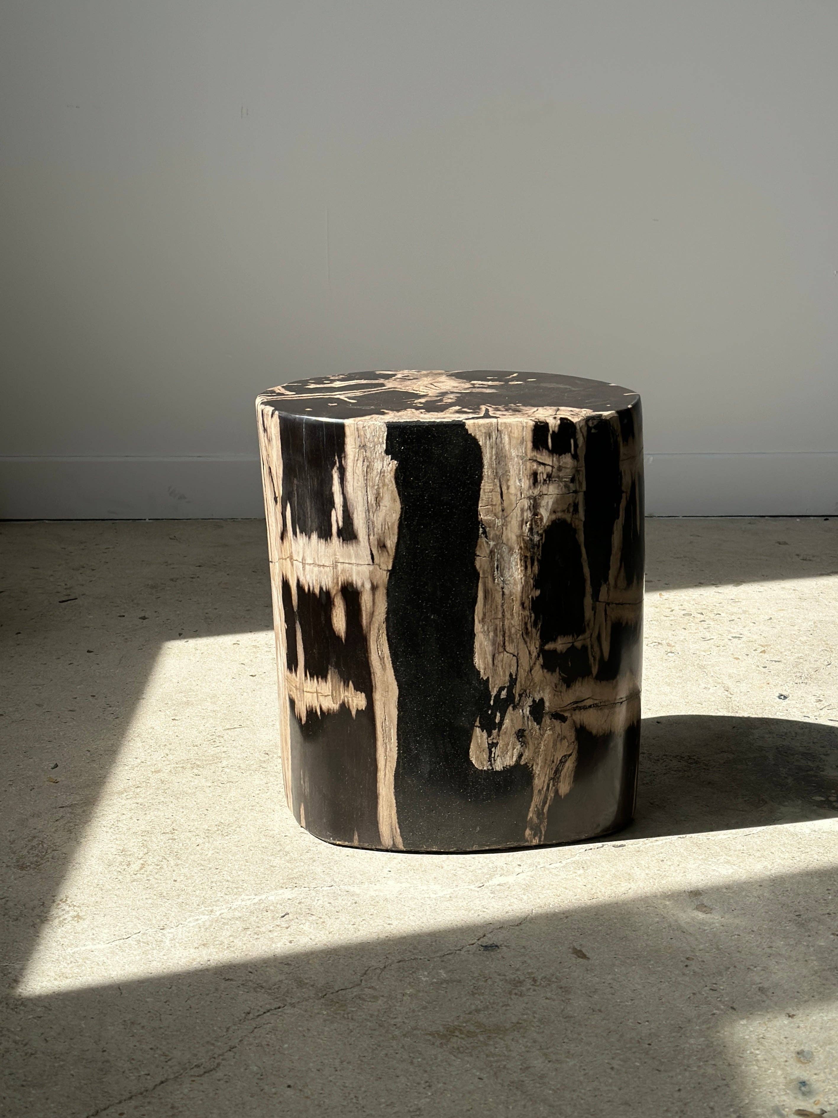 Office Objets - Vente Tables d'appoint - Table d'appoint en bois pétrifié43