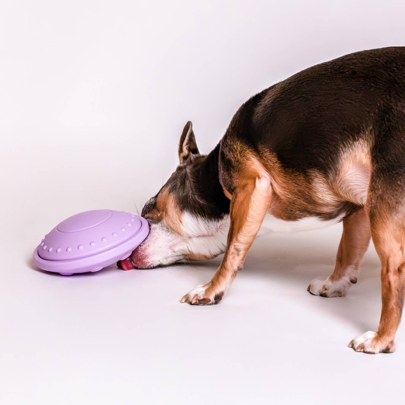 Awoo – wholesale Pet toy – Dog – Flying Saucer Silicone Puzzle Toy3