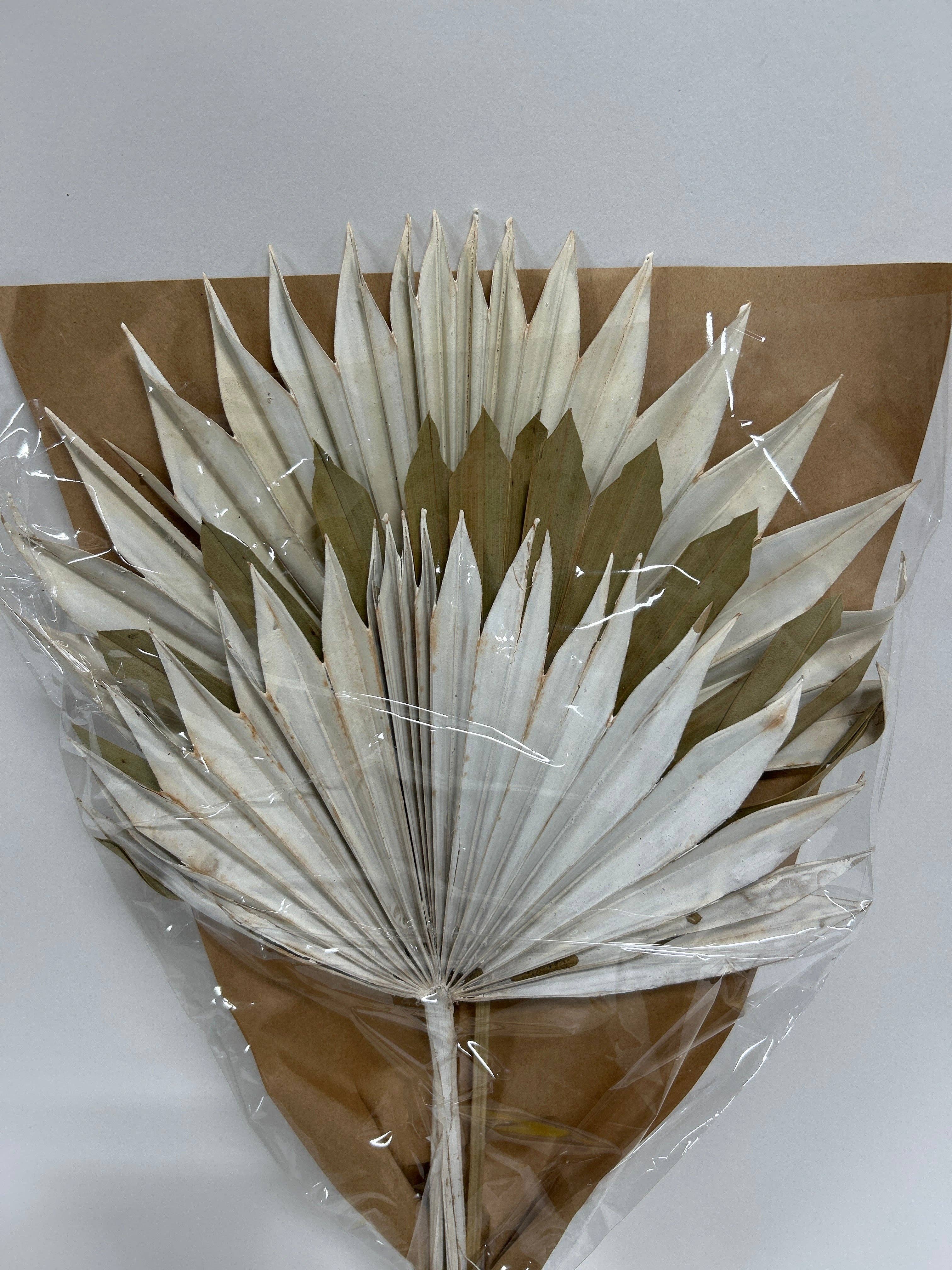 GS Foliage - Wholesale Dried/Pressed Flowers - Dried Sun Palm - 3pc Bunch 2