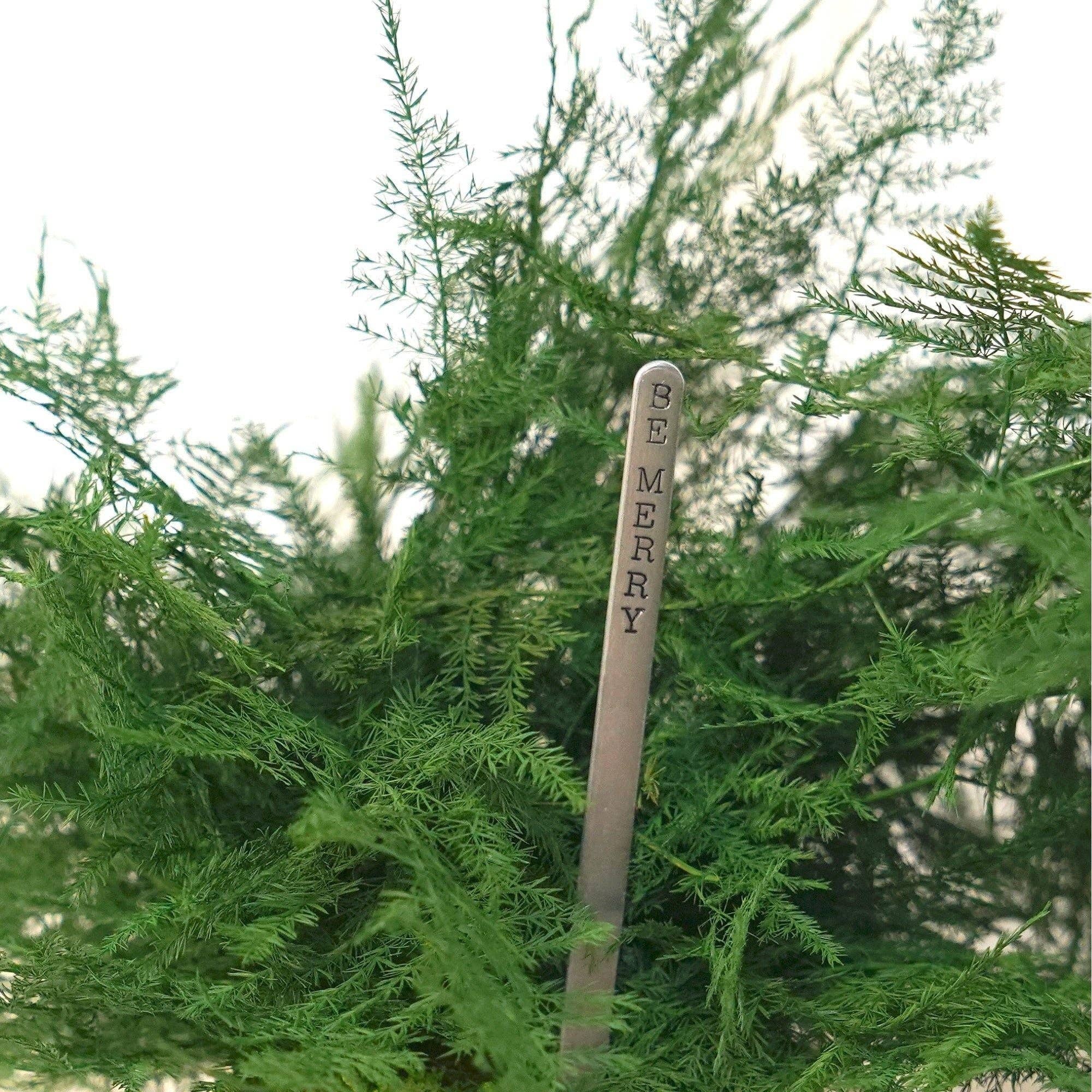 Artisan Moss - Wholesale Live Plant - Featherleaf Fern Kokedama - Sitting or Hanging - Preserved Moss and Fern Plant6