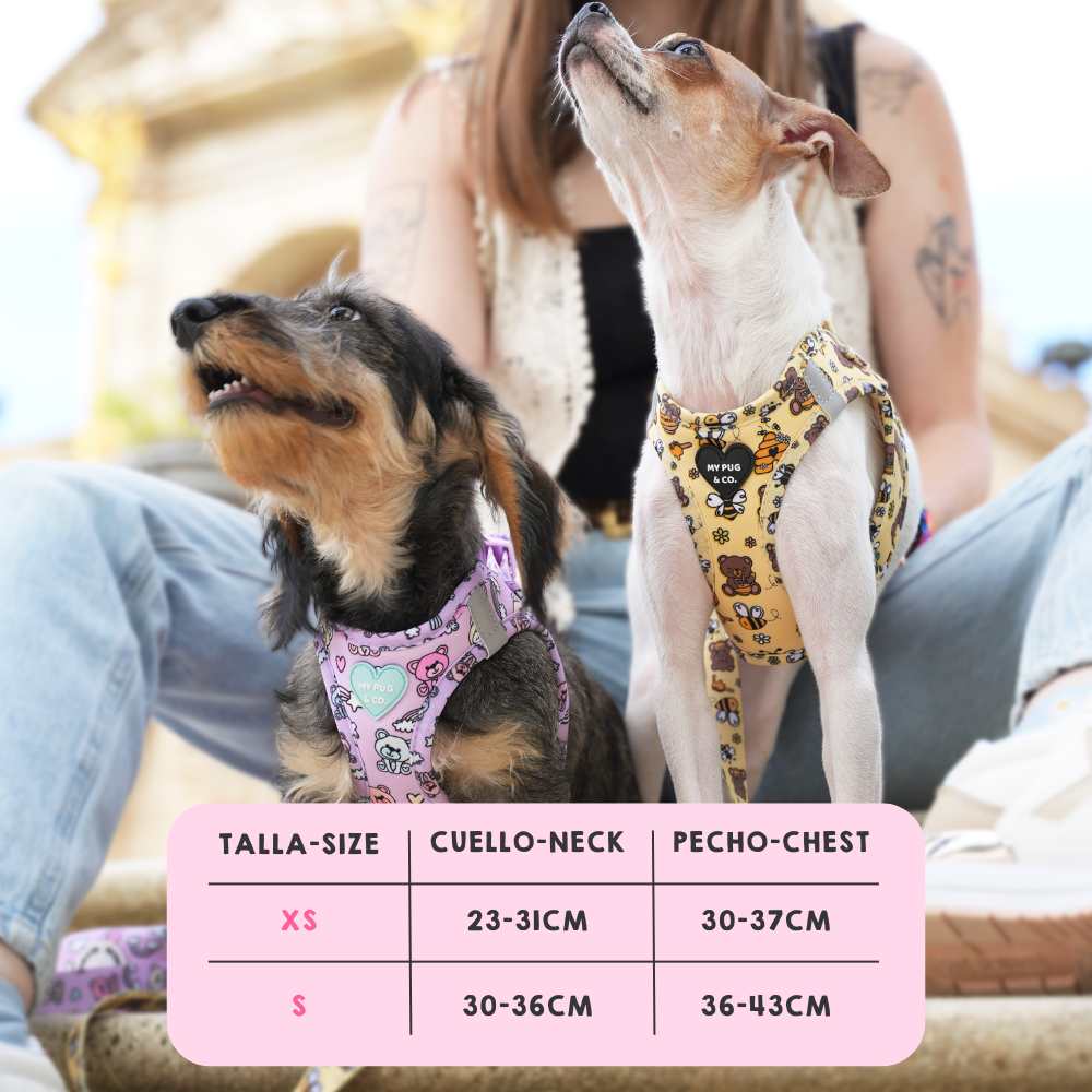 My Pug & Co. - Vente Harnais – chien - Harnais corporel pour chiots « Teddy Bears »2