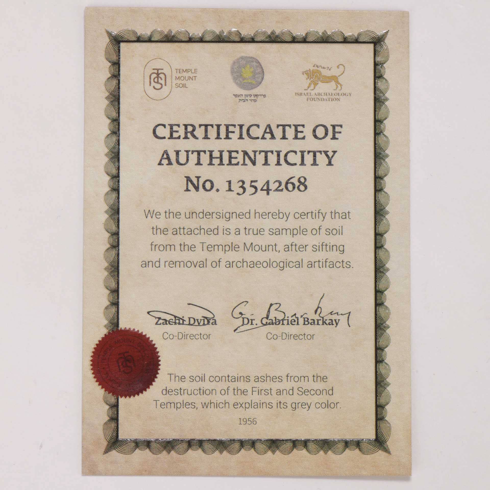 Swanson Christian Products - Wholesale Pendant/Charm Necklace - Necklace Temple Mount Soil Faith Gold 20"2