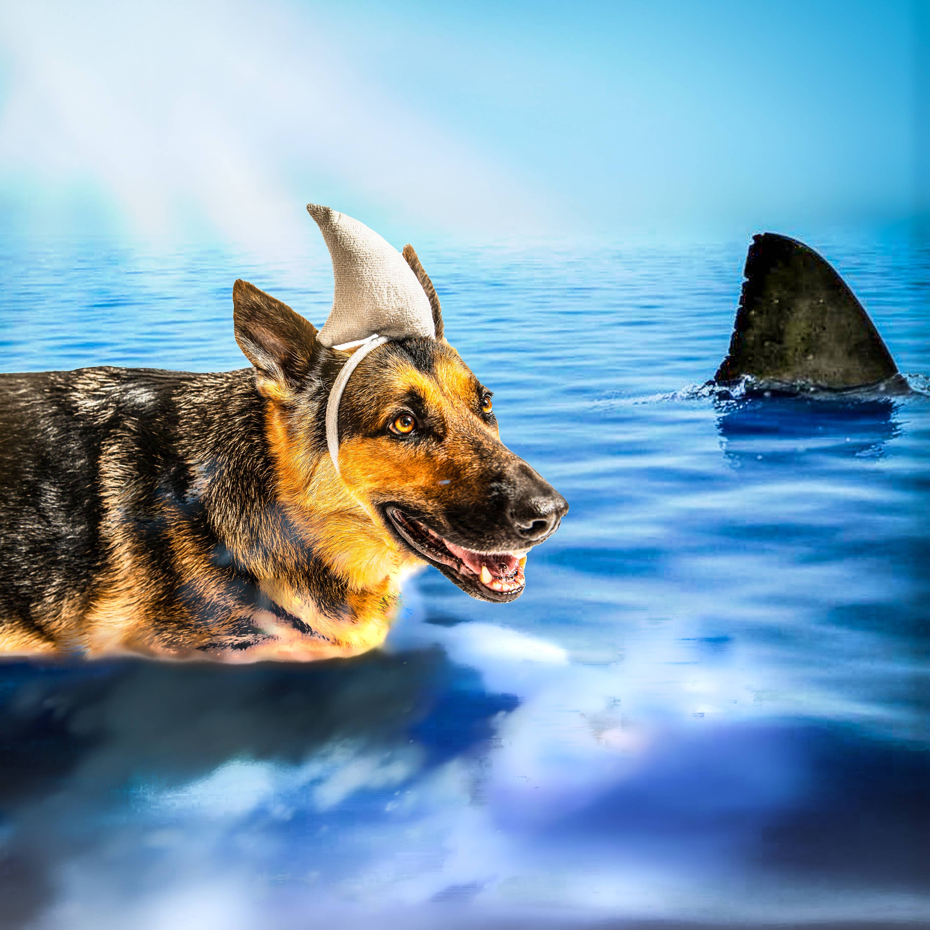 Midlee Designs – Disfarce – Gato e cão por atacado – Fantasia de cachorro de Halloween Midlee Shark vs. salva-vidas8