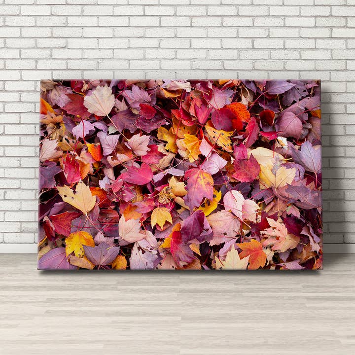 Colorful Autumn Leaves Canvas Print Wall Art for wholesale by Angie Harris Photography