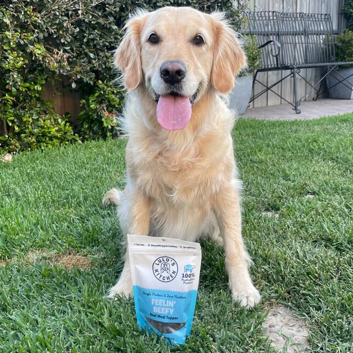 Rover Pet Products - Wholesale Pet food – Dog - Feelin' Beefy - Beef Meal Topper & Enhancer2