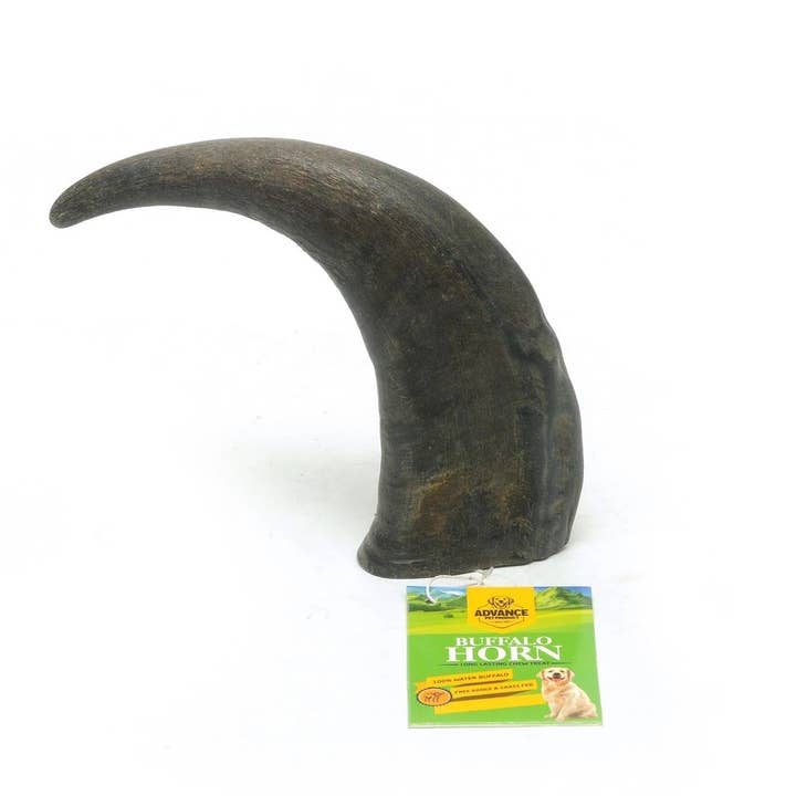 Advance Pet Products - Wholesale Pet Treats - Dog - Water Buffalo Horns! Great for aggressive chewers! Long-last