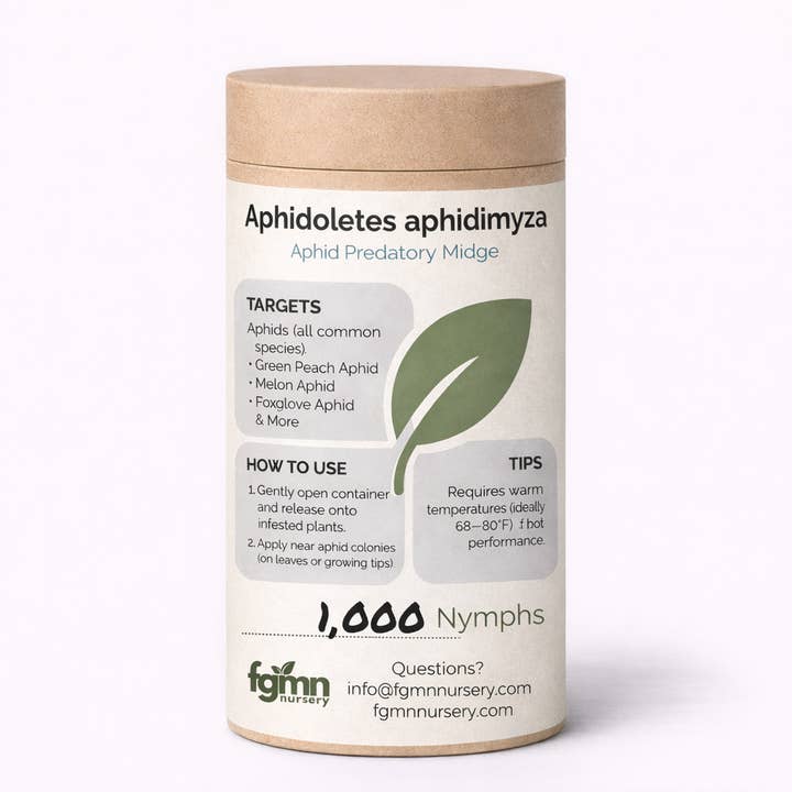 Aphidoletes aphidimyza for wholesale by FGMN Nursery