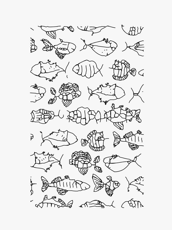 UNSICHTBARE NATUR — FISCH-POSTER für den Großhandel von Kyriakos Papadopoulos