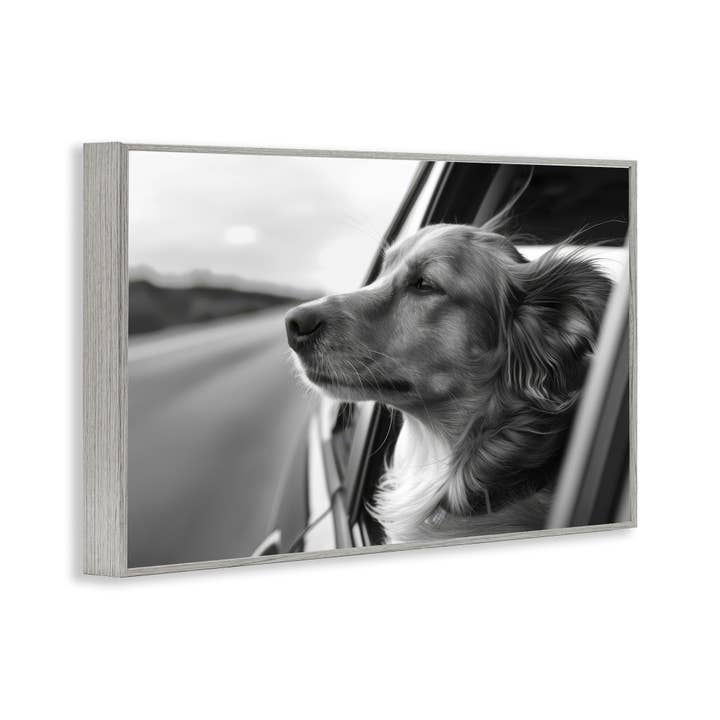 Stupell Industries - Wholesale Wall Sign - Dog Out Car Window - Framed Wall Art14