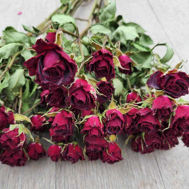 Alissas Flower Farm - Wholesale Dried/Pressed Flowers - Dried Roses, Spray