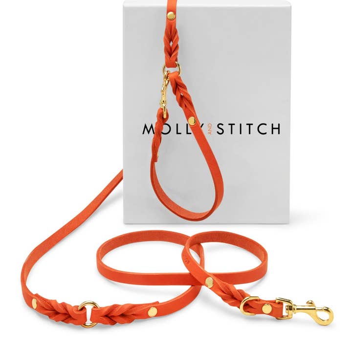 Laisse réglable en cuir Butter 3x pour chien - Mangue pour la vente par Molly and Stitch