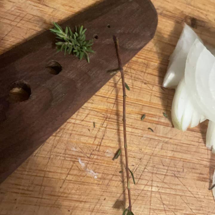 Wild Cherry Spoon co. - Vente Ustensile/gadget de cuisine - Décapant pour herbes, cadeau pour la fête des mères, jardinage/arracheur de plantes1