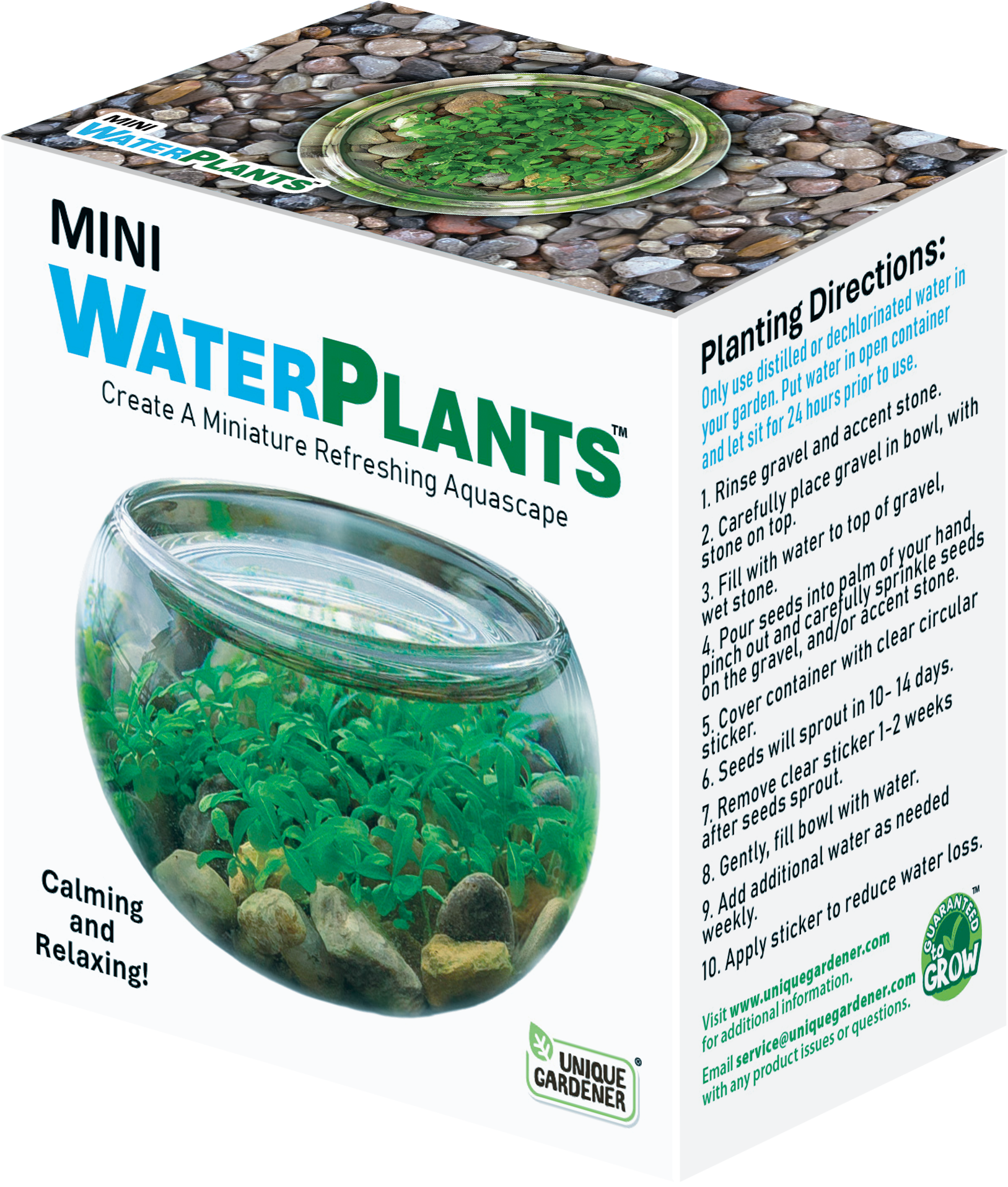 Silver Circle Products - Wholesale DIY Craft Kit - Mini WaterPlants Aquatic Terrarium1