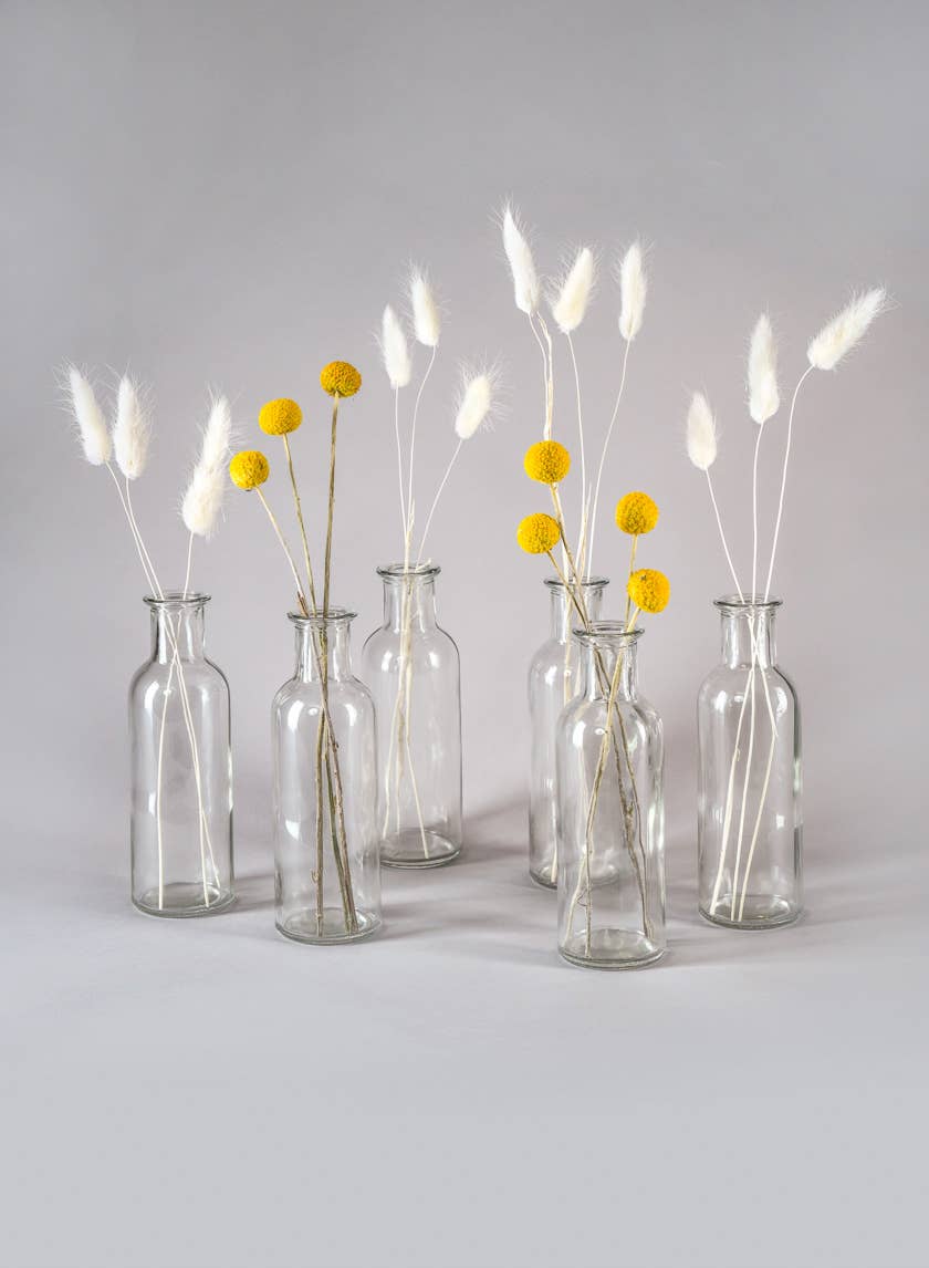 Jamali Garden - Wholesale Vase - Clear Glass Bottle Bud Vase3