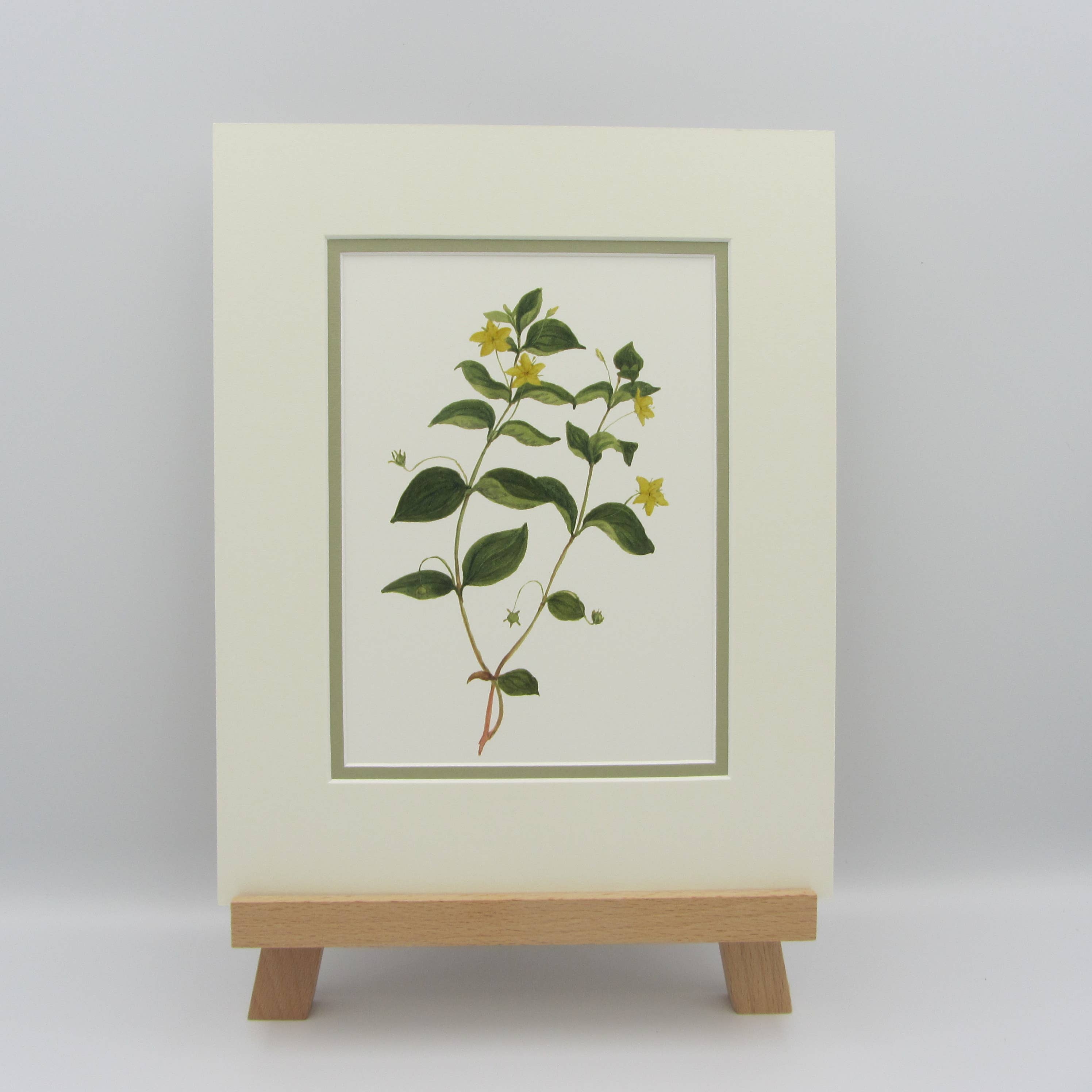 Sophia Davenport - Wholesale Art Print - Wildflower Watercolour Mounted A5 Prints11