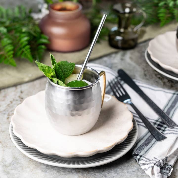 Sol Living - Wholesale Cocktail/Liquor Glass - Moscow Mule Mugs - 4 Pack - Siver/Copper (4 Cups + 4 Straws)9