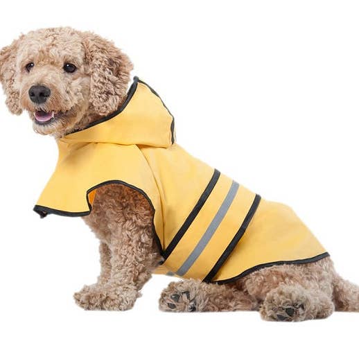 Paws & Son™ Lite - leichter Regenmantel für Hunde für den Großhandel von Paws & Son