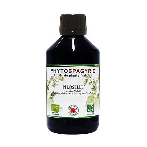 Fitospagiria de Planta Pilosela* 300ml por atacado de Vecteur Energy