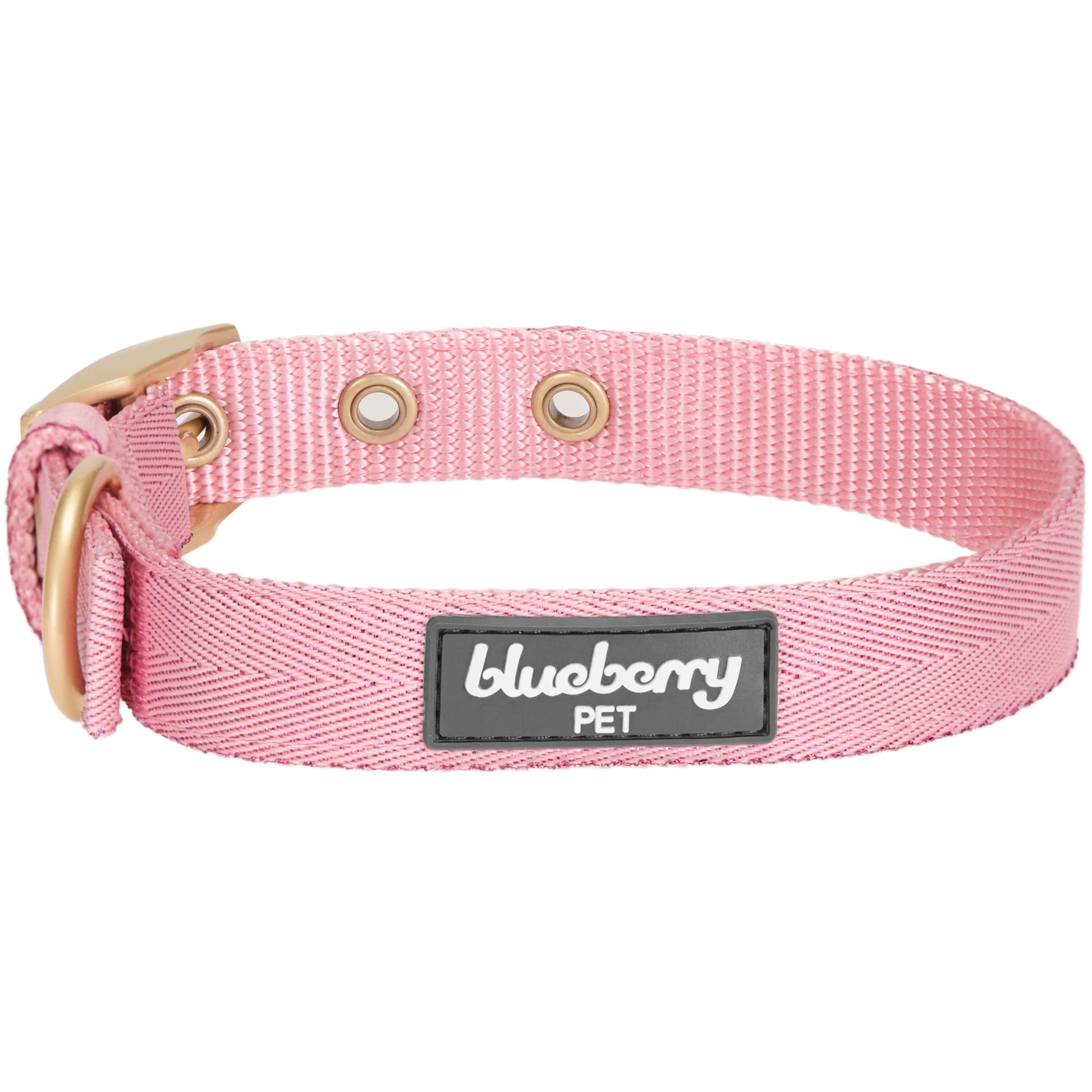 Blueberry Pet – coleira - Cão por atacado – A mais cobiçada designer de fio metálico para cão2